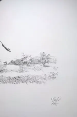 Peter Vos - Schiereiland melancholie- gesigneerde litho kopen? Bied vanaf 70!