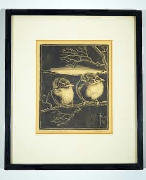 Jan Christiaan Maas - twee jonge vogels verkocht voor € 20!