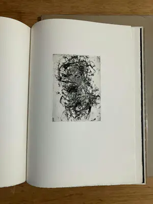 Asger Jorn - C. Caspari:Fridhof der Maulwürfe (talpa euroaea) oder geländegänge in tagesläufn kopen? Bied vanaf 1990!