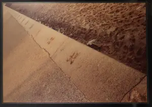 Frits Wiggers - Foto op dibond, Grondperspectief 10 (Groot) kopen? Bied vanaf 1!