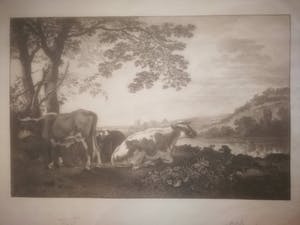Petrus Johannes Arendzen - Koeien in de wei. kopen? Bied vanaf 1!