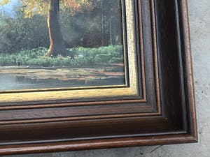 Niet of onleesbaar gesigneerd - Boom. kopen? Bied vanaf 1!