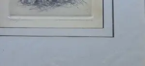 Maarten Langbroek - LOT 2 STUKS / KIEVIT + KAPMEEUW / ZW-W ETS / 26x22cm / KADER / SIG kopen? Bied vanaf 45!