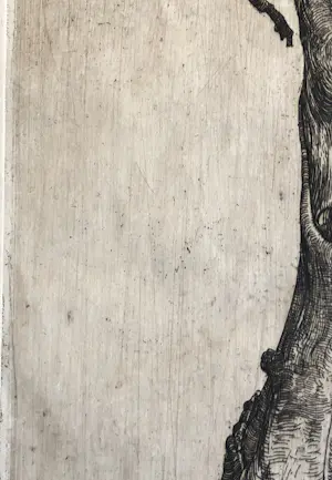 Pieter Dupont - Knotwilg kopen? Bied vanaf 50!