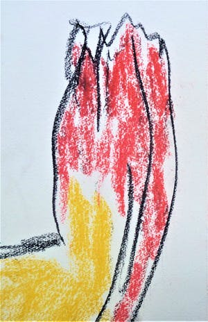 Anton Heyboer - De oervogel . kopen? Bied vanaf 250!