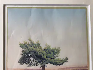 Siemen Dijkstra - Vlieg-den 3 kopen? Bied vanaf 25!