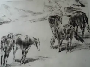 Wim Vaarzon Morel (jr.) - Grafieken - Paarden kopen? Bied vanaf 125!