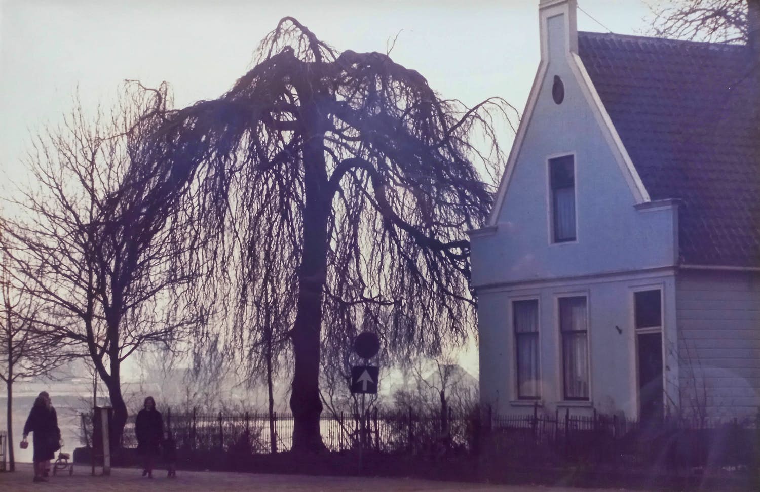 Aart Klein - Broek in Waterland, C-print kopen? Bied vanaf 20!