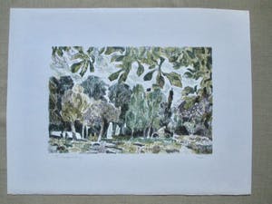 Theo Kurpershoek - Litho kopen? Bied vanaf 45!