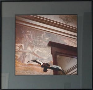 Paul den Hollander - untitled kopen? Bied vanaf 295!