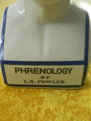 Curiosa - Phrenology head by L.N.Fowler kopen? Bied vanaf 50!