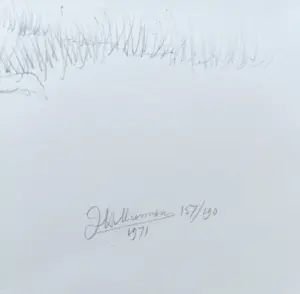 Joop Moesman - Zondagochtend, litho kopen? Bied vanaf 95!