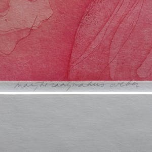 Marijke Raaijmakers - Kleurets - 'Juli 1984' - oplage 2/25 kopen? Bied vanaf 45!