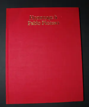 Pablo Picasso - Kunstboek met kleurenlitho kopen? Bied vanaf 125!