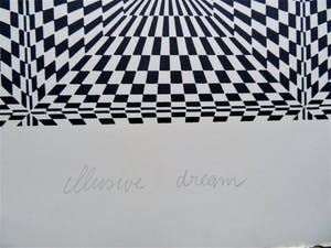 Elizabeth de Vaal - Illusive dream - Zeefdruk kopen? Bied vanaf 40!