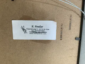 Henk Poeder - Eenden kopen? Bied vanaf 55!