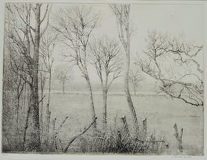 Charles Donker - Winterlanschap in Rhijnauwen, snel dalende kauwen kopen? Bied vanaf 200!