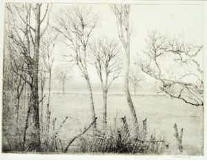 Charles Donker - Winterlanschap in Rhijnauwen, snel dalende kauwen verkocht voor € 200!