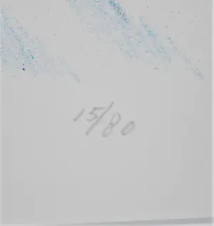 Jeroen Henneman - Watervrouw (1988) - grote litho, oplage 15/80 kopen? Bied vanaf 125!