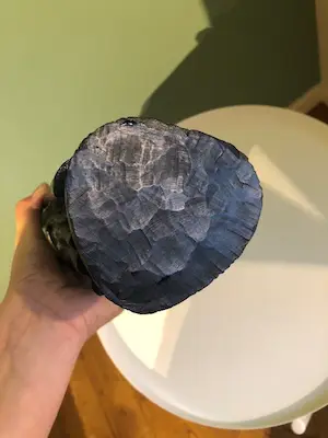 Niet of onleesbaar gesigneerd - Afrikaanse hout snij kunst kopen? Bied vanaf 1!