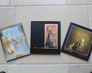 Poen de Wijs - Transformatie kopen? Bied vanaf 1500!