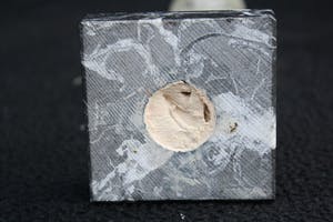 Niet of onleesbaar gesigneerd - Moeder met Kindje kopen? Bied vanaf 1!