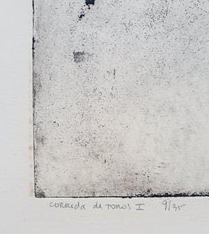 Ru van Rossem - Corrida de toros, aquatint ets kopen? Bied vanaf 50!