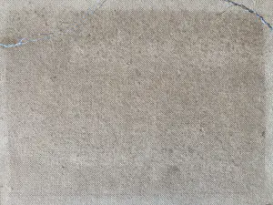 Ad Blok van der Velden - Duinbloempjes op Texel kopen? Bied vanaf 300!