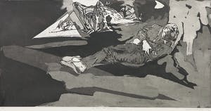 Cor van Haasteren - Aquatint, De droom der pelikanen kopen? Bied vanaf 1!