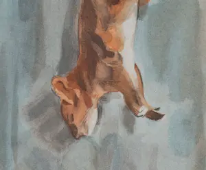 Henri Victor Le Fauconnier - Écureuil roux kopen? Bied vanaf 200!