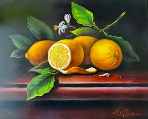 Buy Alfonso Moreno - Citroenen? Bid from 145!