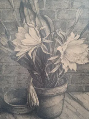 Aart van Dobbenburgh - Plant in bloempot. kopen? Bied vanaf 75!