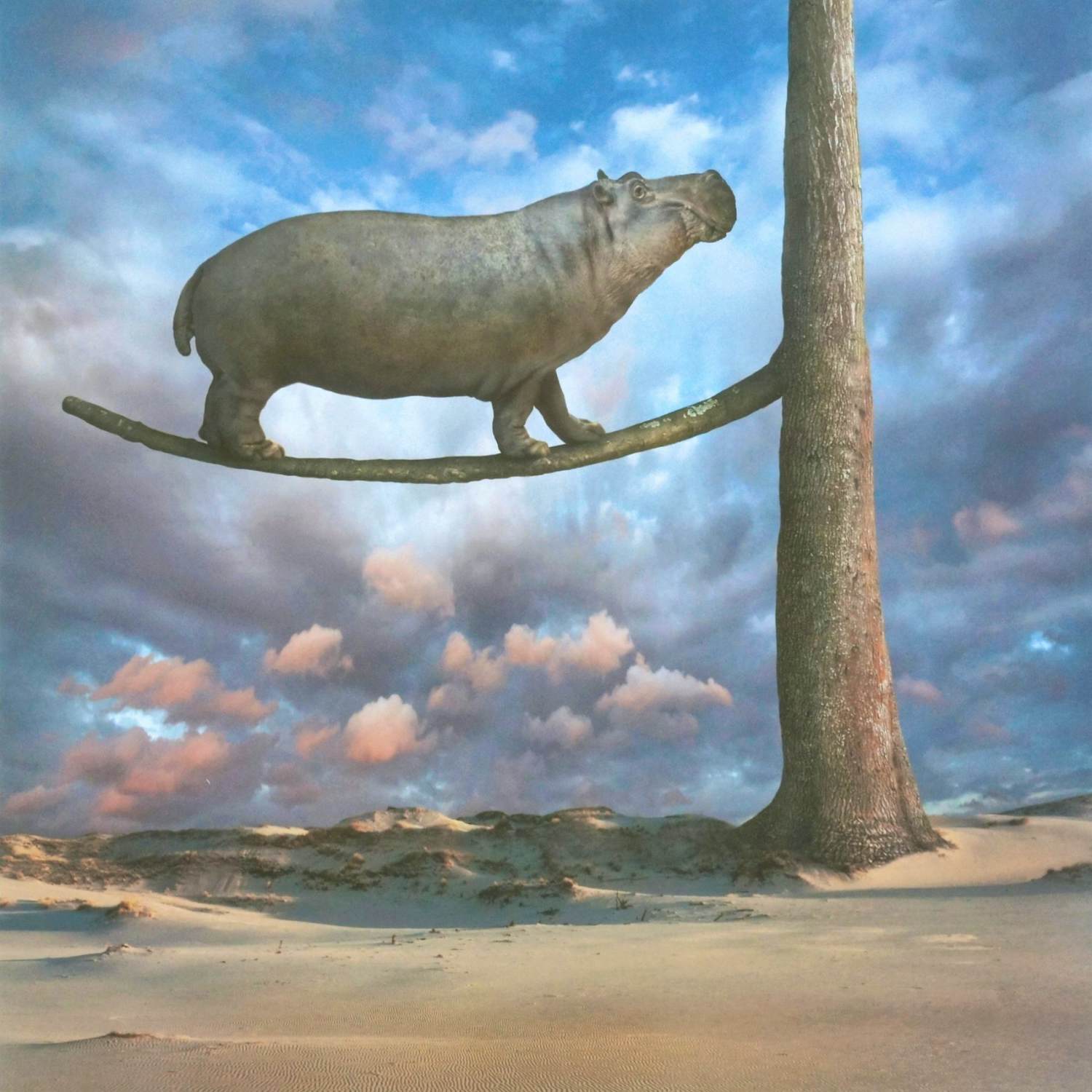 Dariusz Klimczak - Evenwicht (2012) kaufen? Bieten Sie von 60!