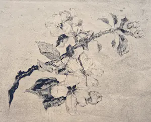 Suze de Lint - omstreeks 1920 - delicate droge naald Ets "bloesemtak" zeer kleine oplage (25) kopen? Bied vanaf 31!