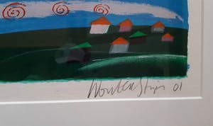 Wouter Stips - Droomvliegen kopen? Bied vanaf 65!