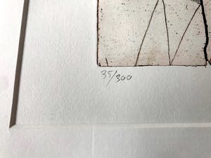 Jan Naezer - Eigen Druk - Handgesigneerd - Met aluminium Barth lijst & Passepartout - 1985 kopen? Bied vanaf 95!
