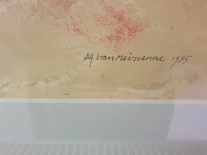 Alfons Van Meirvenne - paar zwemmende vissen kopen? Bied vanaf 250!