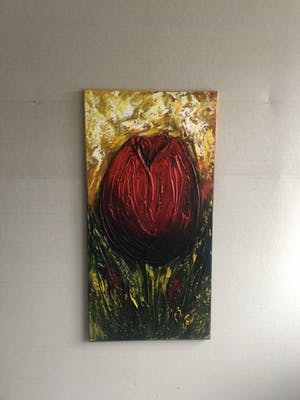 Gena - Fantasie tulp kopen? Bied vanaf 100!