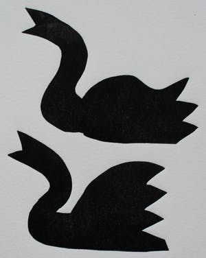 Klaas Gubbels - Houtdruk: Zwarte zwanen - 1998 kopen? Bied vanaf 295!