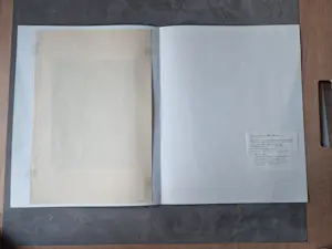 Toon Wegner - Fraaie eigen druk kleuren-lithografie | 'Zonnebloem' | 1962 - inkt gesigneerd kopen? Bied vanaf 29!