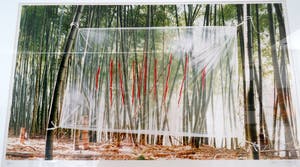 Jean Ruiter - Bamboe sculpture kopen? Bied vanaf 600!