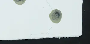 James Brown - Litho und Collage, Mannerist Herbarium kopen? Bied vanaf 1!