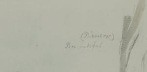Simon Simonsen - Tekening, Bos indicus / Zeboe, ca. 1875 kopen? Bied vanaf 1!