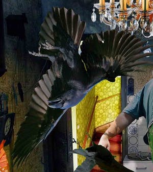 Lionel Morateur - Cendrillon kopen? Bied vanaf 50!