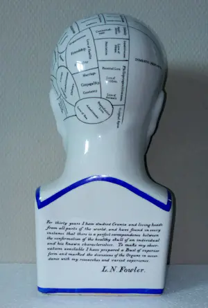 Curiosa - Phrenology hoofd van L.N.Fowler - Porselein kopen? Bied vanaf 50!