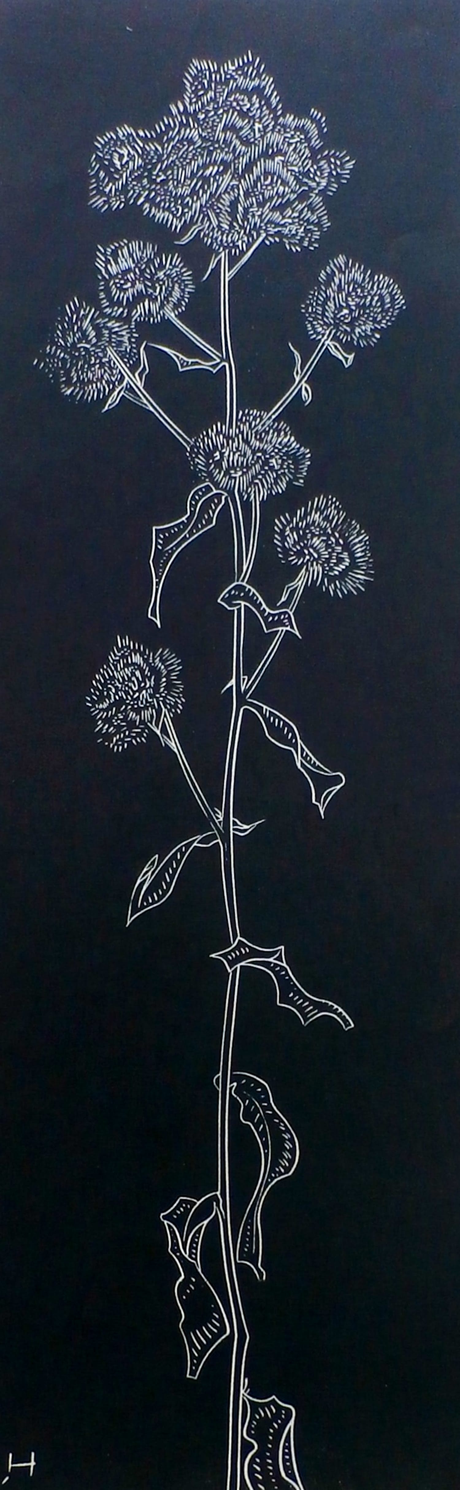 Willem Hussem - litho: bloem kopen? Bied vanaf 75!