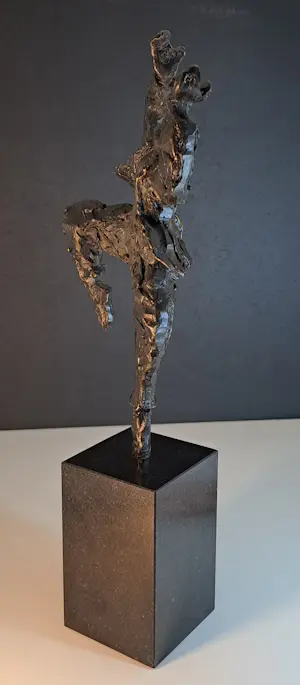 Wim Heesakkers - Dance kopen? Bied vanaf 50!