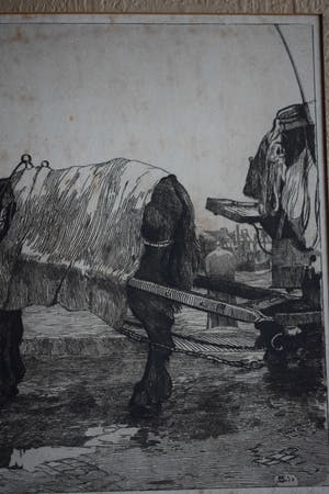 Jan Sirks - Paard op de kade kopen? Bied vanaf 40!