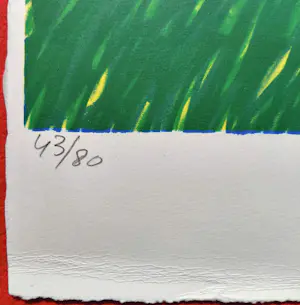 Jan Cremer - Hollandse boerinnen, complete uitgave met 6 litho’s kopen? Bied vanaf 1350!