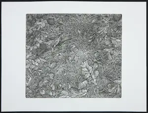 Paulien Wittenrood - Ets, Eikeblad onder larixnaalden kopen? Bied vanaf 60!